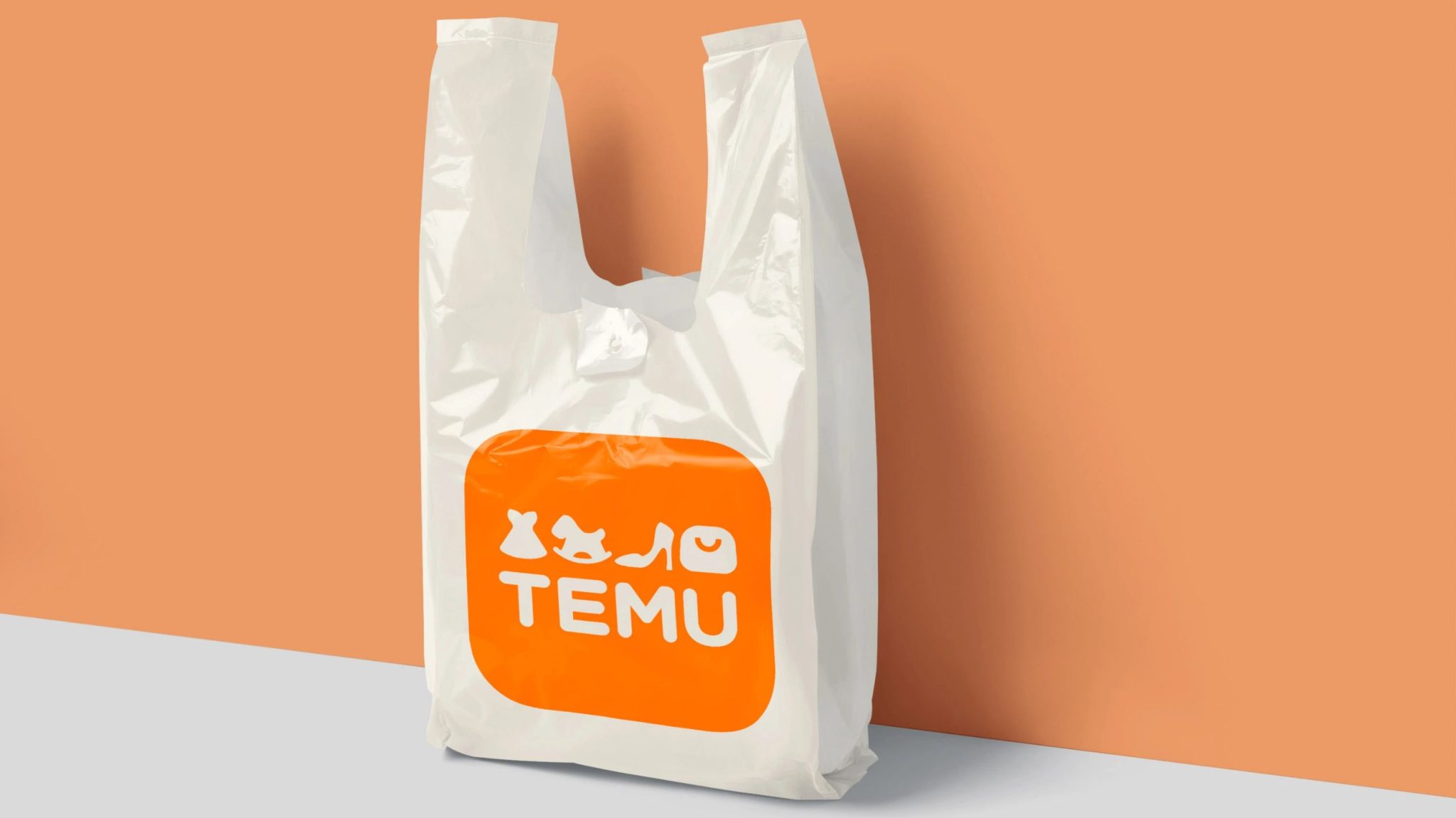 How To Get Temu Orders Shipped To Canada | How I Travel